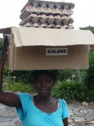 Carrying eggs to sell